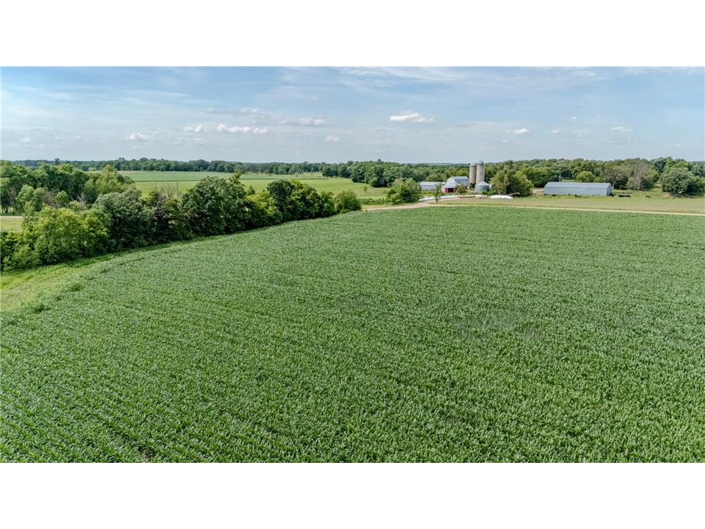 TBD Cardinal Road Swanville MN 56382 7105185 image12