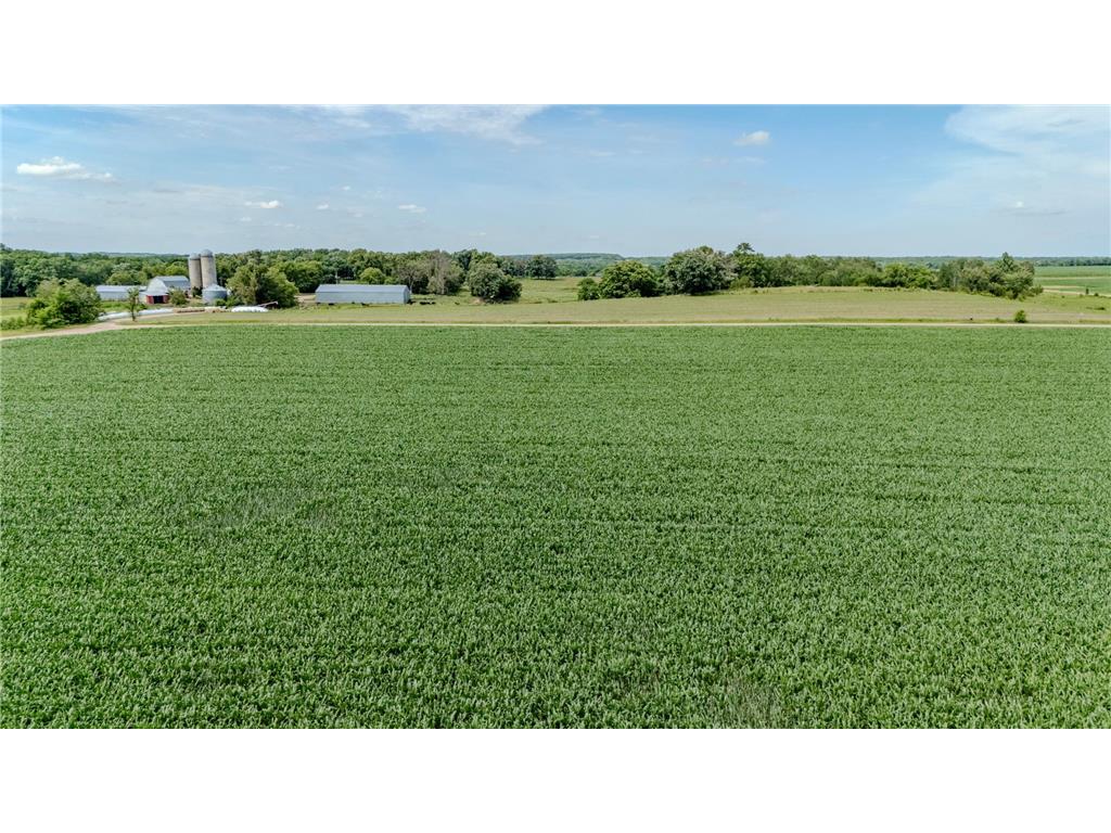 TBD Cardinal Road Swanville MN 56382 7105185 image13