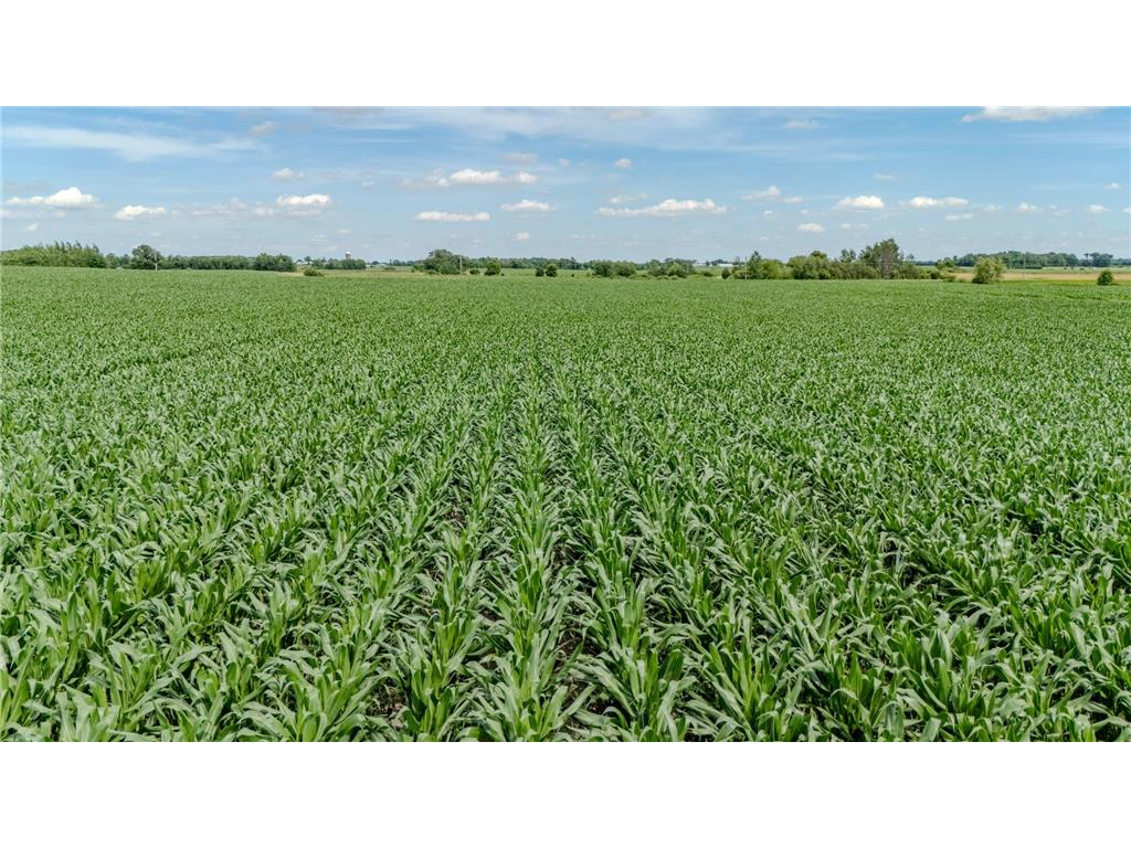 TBD Cardinal Road Swanville MN 56382 7105185 image14