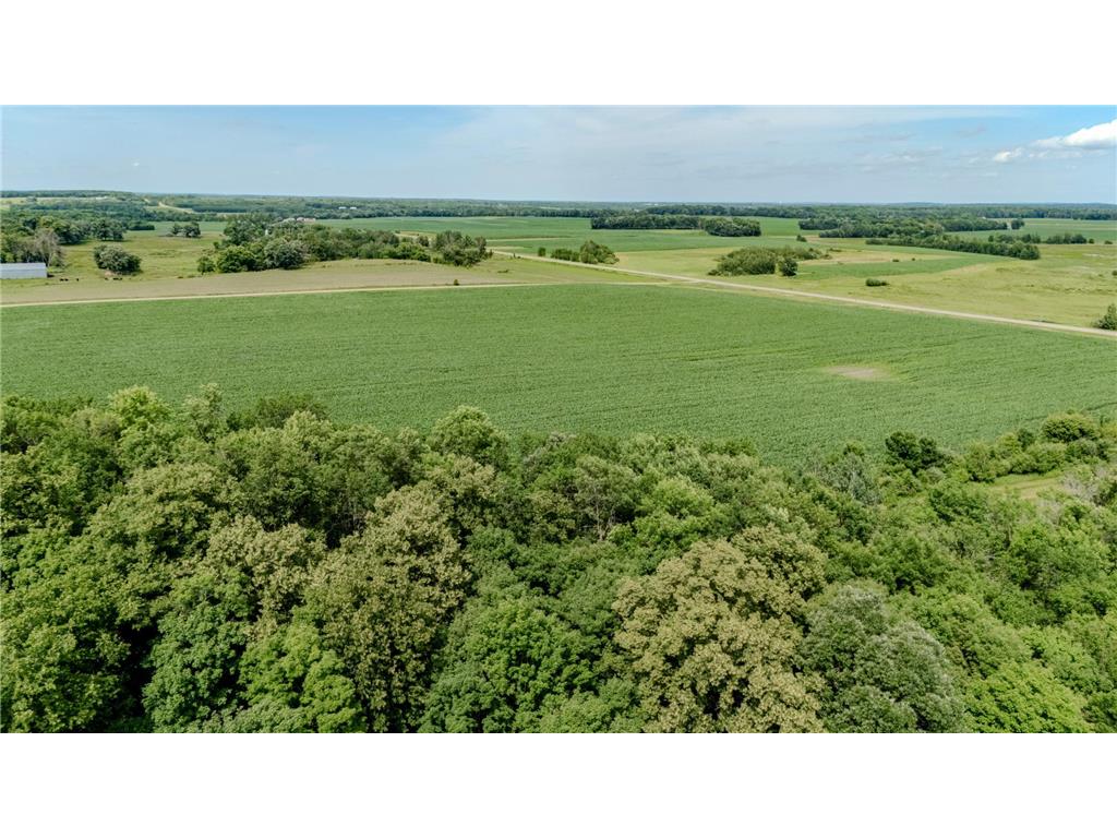 TBD Cardinal Road Swanville MN 56382 7105185 image15