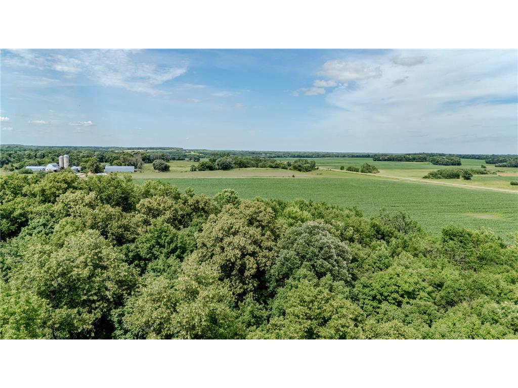 TBD Cardinal Road Swanville MN 56382 7105185 image16