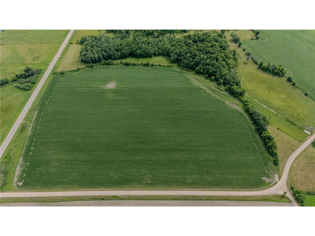 TBD Cardinal Road Swanville MN 56382 7105185 image4
