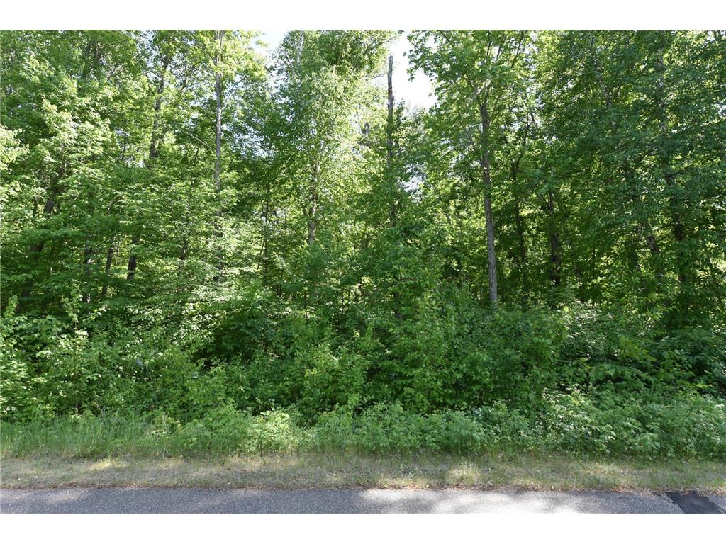 TBD Castle Wood Ct Breezy Point MN 56472 6313740 image1