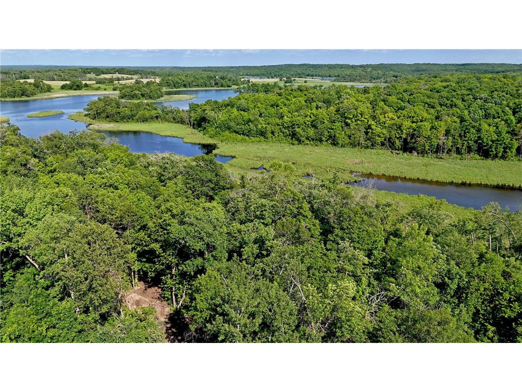TBD Catherine Lane White Earth Twp MN 56591 - White 7038048 image11