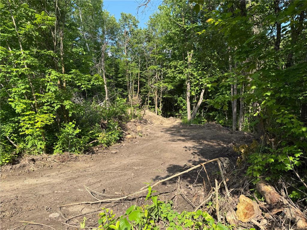 TBD Catherine Lane White Earth Twp MN 56591 - White 7038048 image19