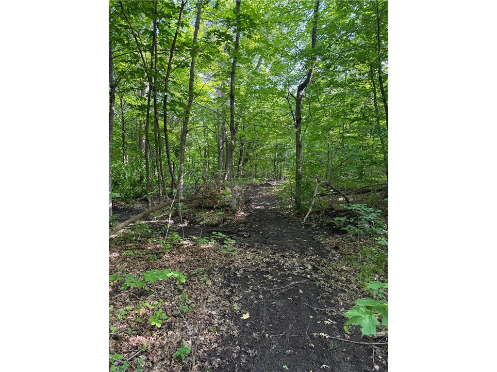TBD Catherine Lane White Earth Twp MN 56591 - White 7038048 image21