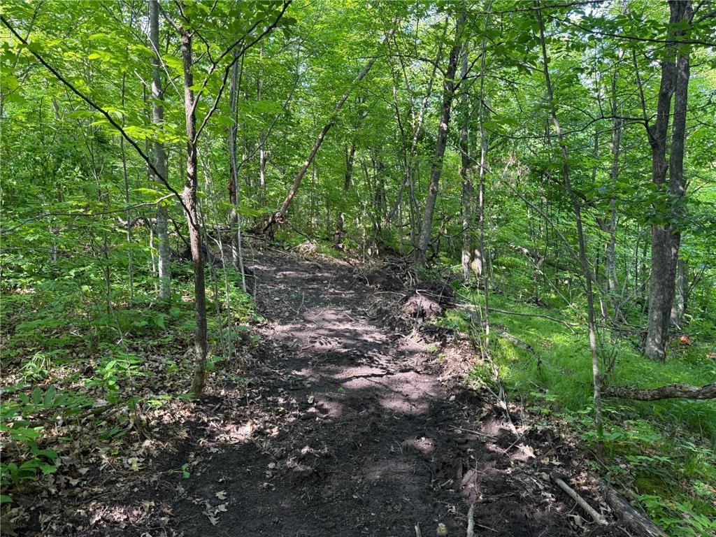 TBD Catherine Lane White Earth Twp MN 56591 - White 7038048 image23