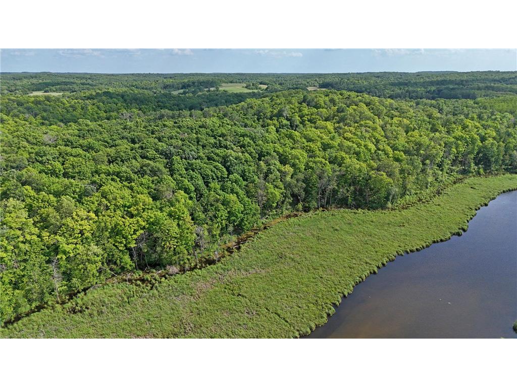 TBD Catherine Lane White Earth Twp MN 56591 - White 7038048 image28