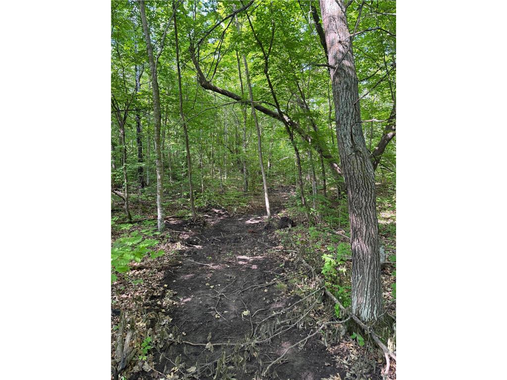 TBD Catherine Lane White Earth Twp MN 56591 - White 7038048 image29