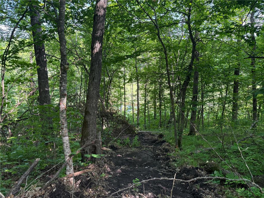 TBD Catherine Lane White Earth Twp MN 56591 - White 7038048 image31
