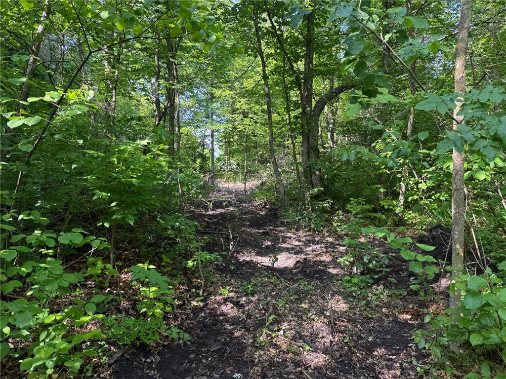 TBD Catherine Lane White Earth Twp MN 56591 - White 7038048 image33