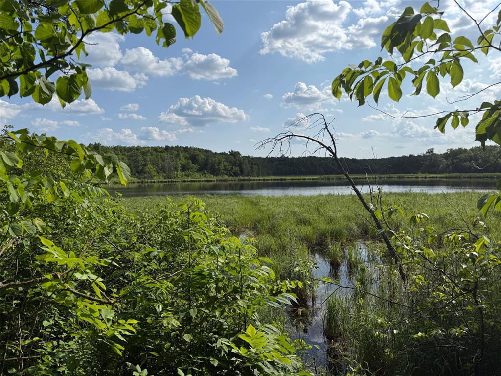 TBD Catherine Lane White Earth Twp MN 56591 - White 7038048 image7