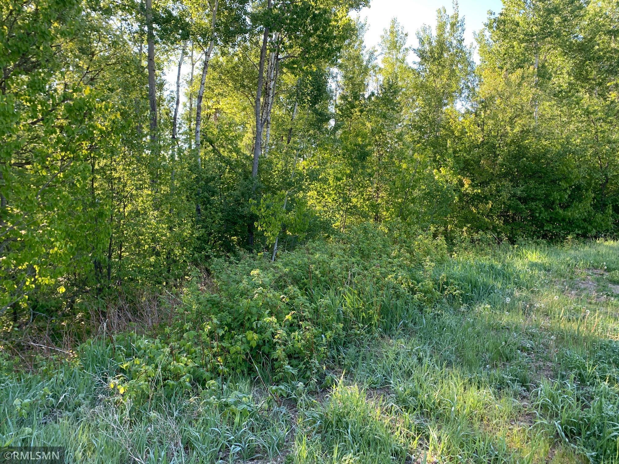 TBD Cedar Crest Circle NW Walker MN 56484 6015901 image1