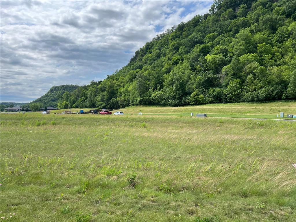 TBD Cedar Drive Lake City MN 55041 6741587 image3