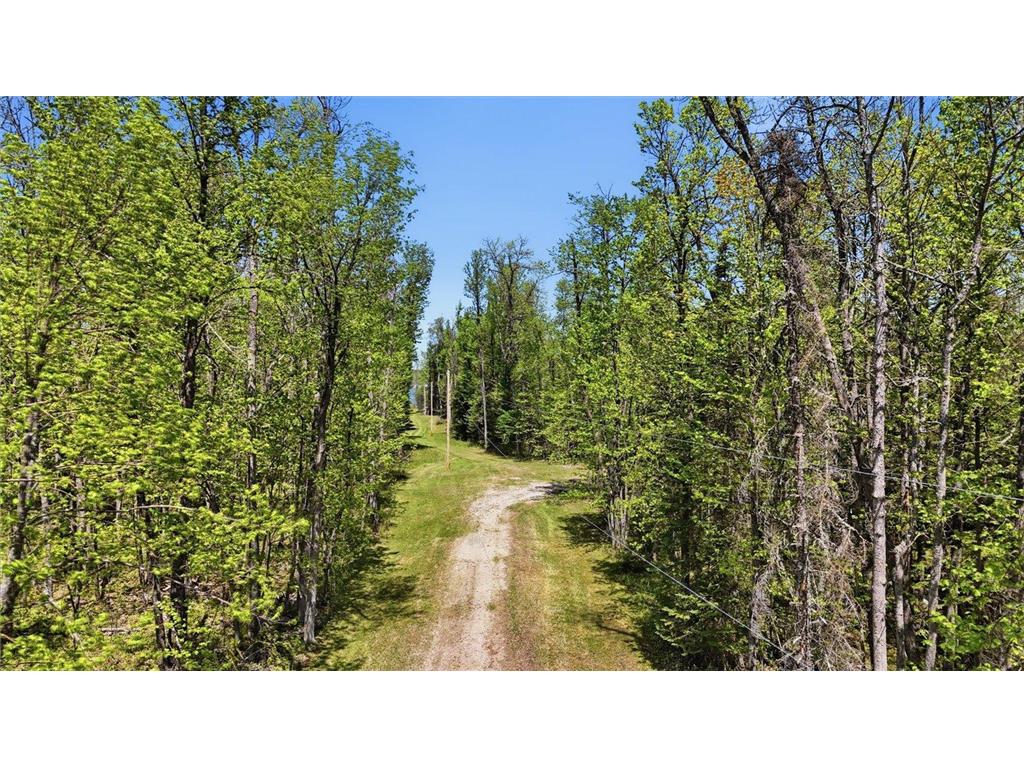TBD Cedar Point Rd Marcell MN 56657 - North Star 7041859 image14
