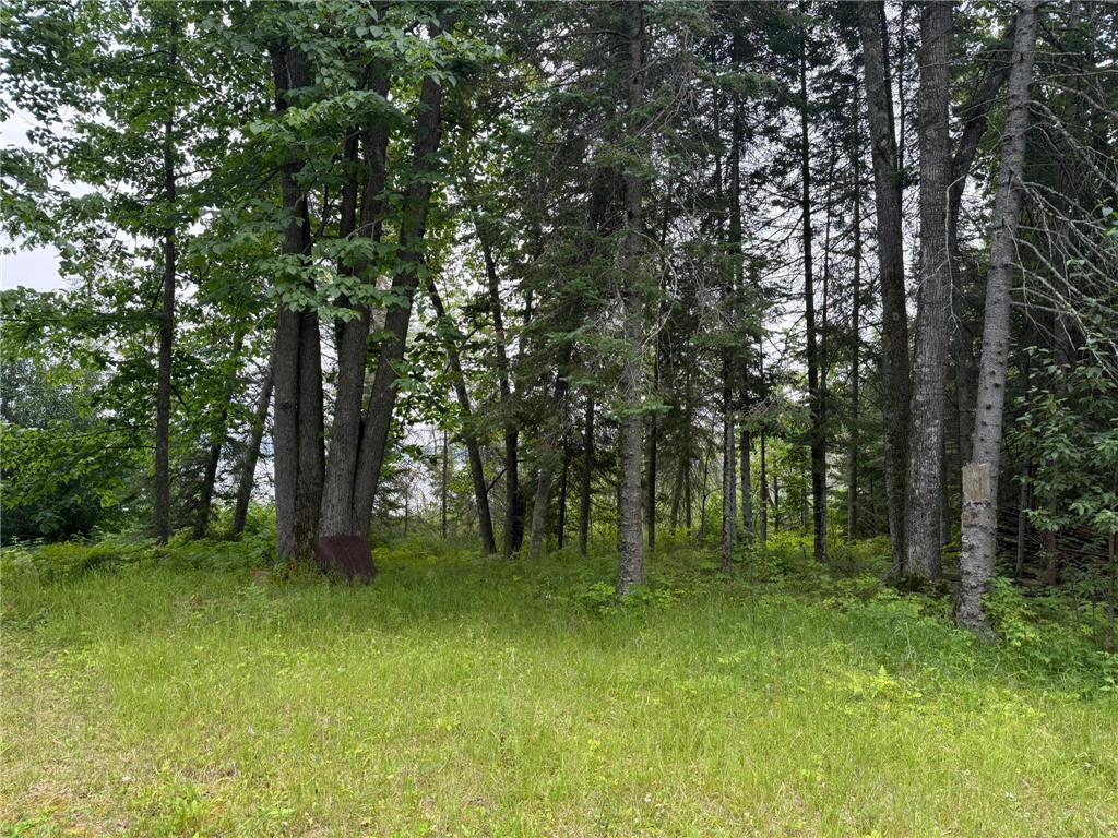 TBD Cedar Point Rd Marcell MN 56657 - North Star 7041859 image17