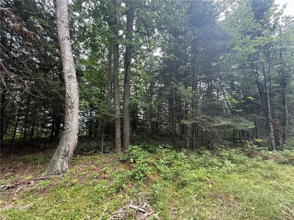 TBD Cedar Point Rd Marcell MN 56657 - North Star 7041859 image23