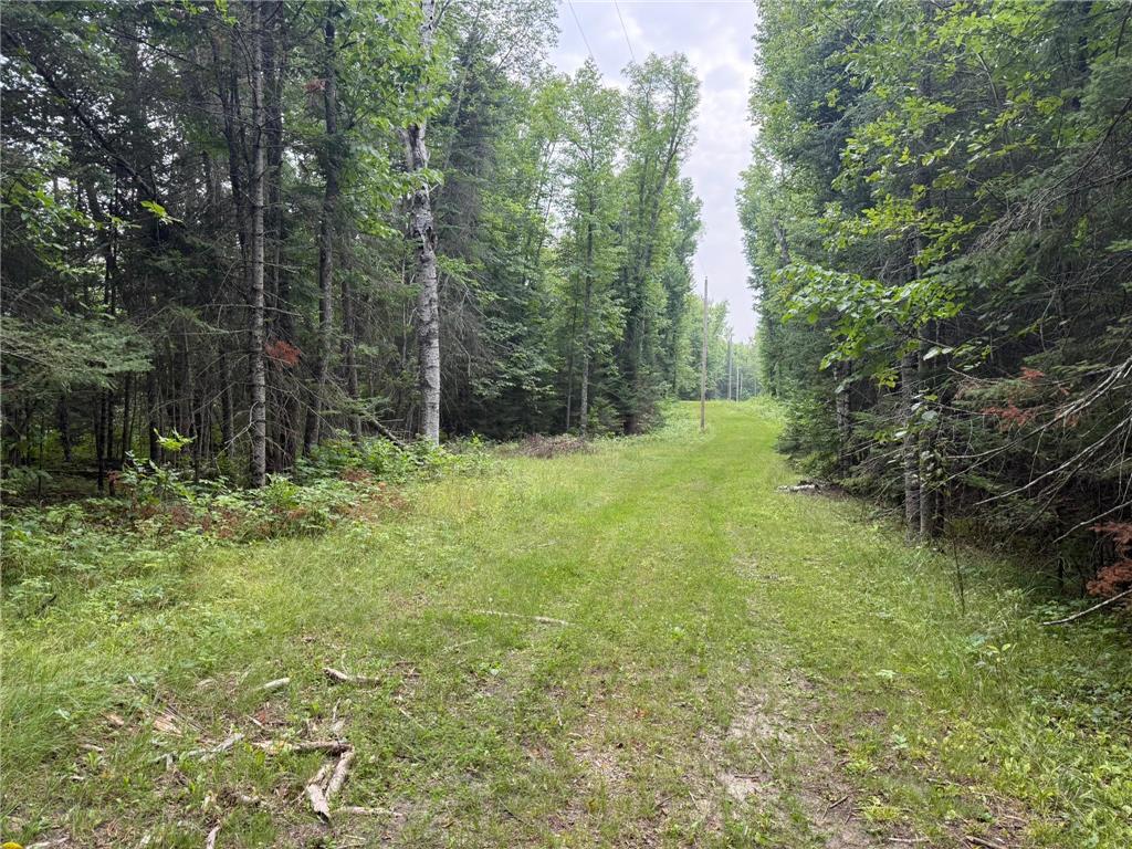 TBD Cedar Point Rd Marcell MN 56657 - North Star 7041859 image25