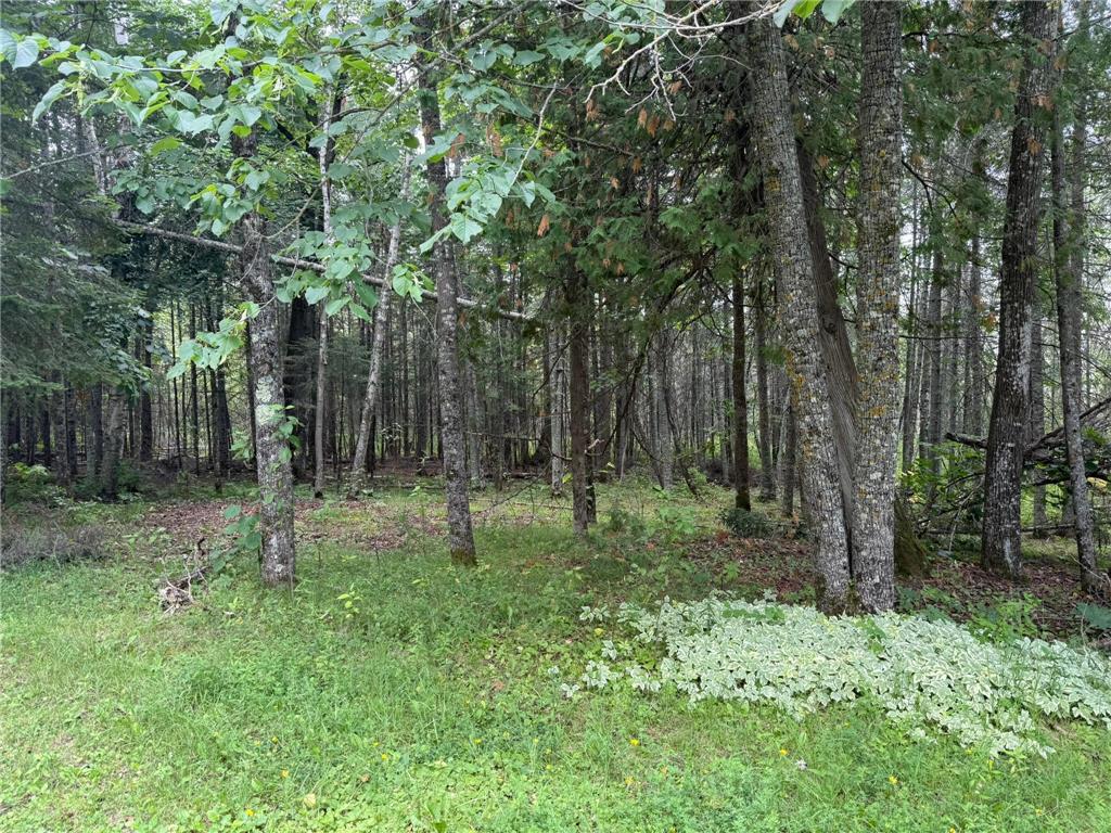 TBD Cedar Point Rd Marcell MN 56657 - North Star 7041859 image26