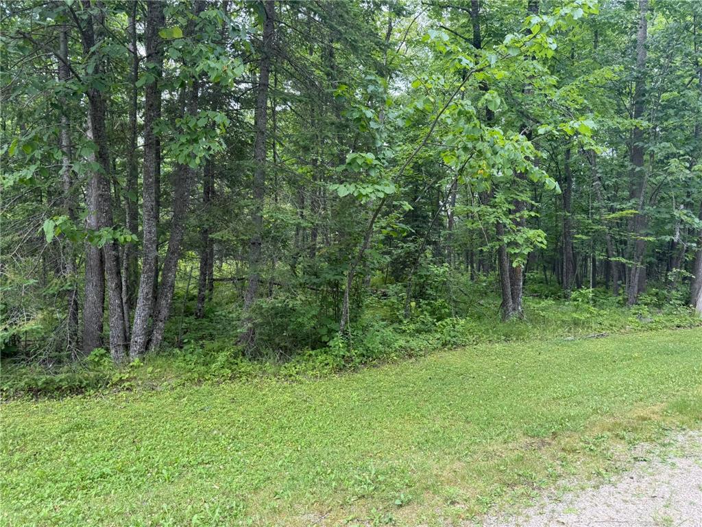 TBD Cedar Point Rd Marcell MN 56657 - North Star 7041859 image27