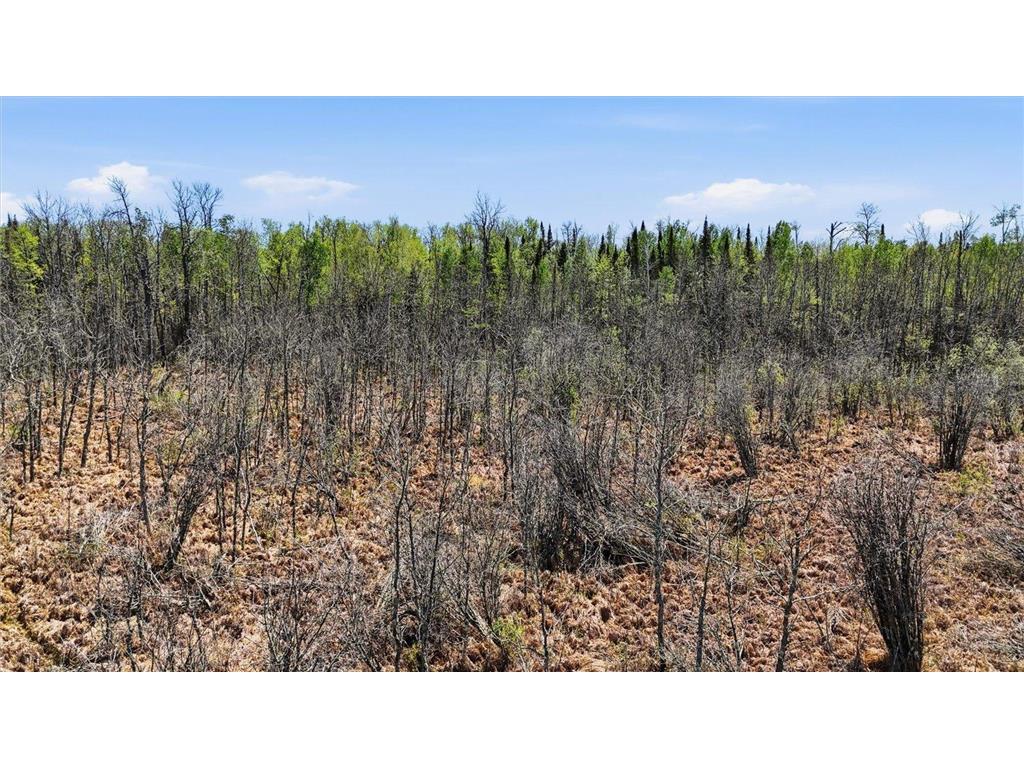 TBD Cedar Point Rd Marcell MN 56657 - North Star 7041859 image35