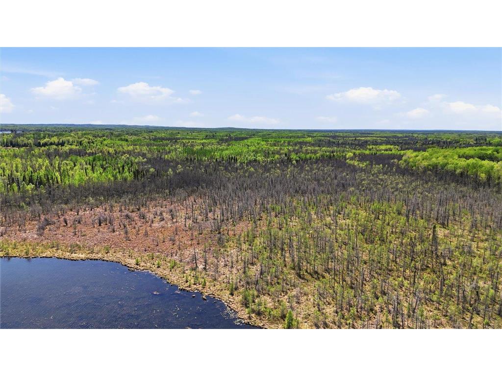 TBD Cedar Point Rd Marcell MN 56657 - North Star 7041859 image39