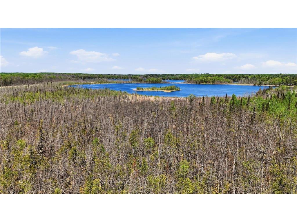 TBD Cedar Point Rd Marcell MN 56657 - North Star 7041859 image42