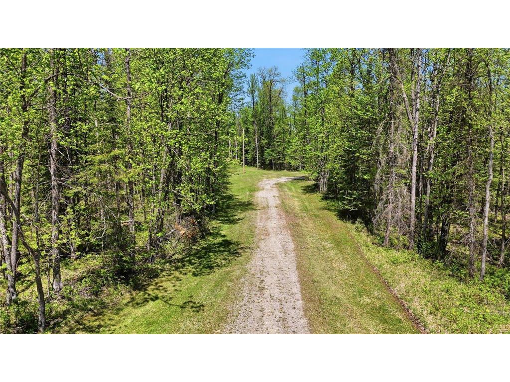 TBD Cedar Point Rd Marcell MN 56657 - North Star 7041859 image44