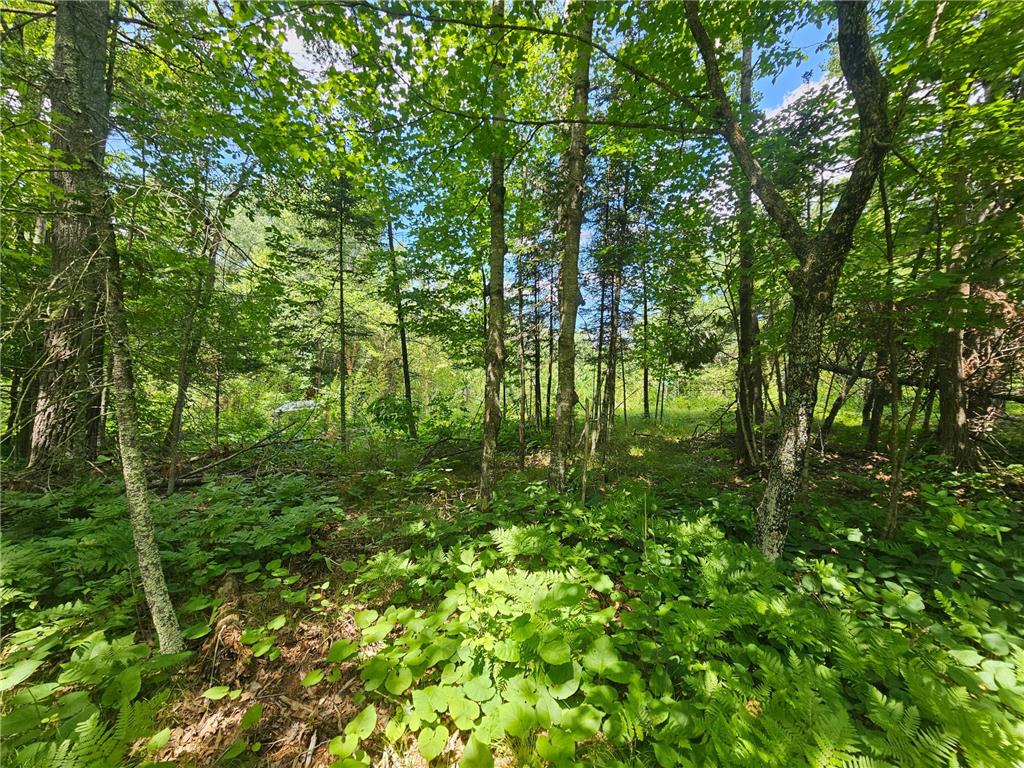 TBD Cedar Shores Drive Deerwood Twp MN 56444 7106712 image5