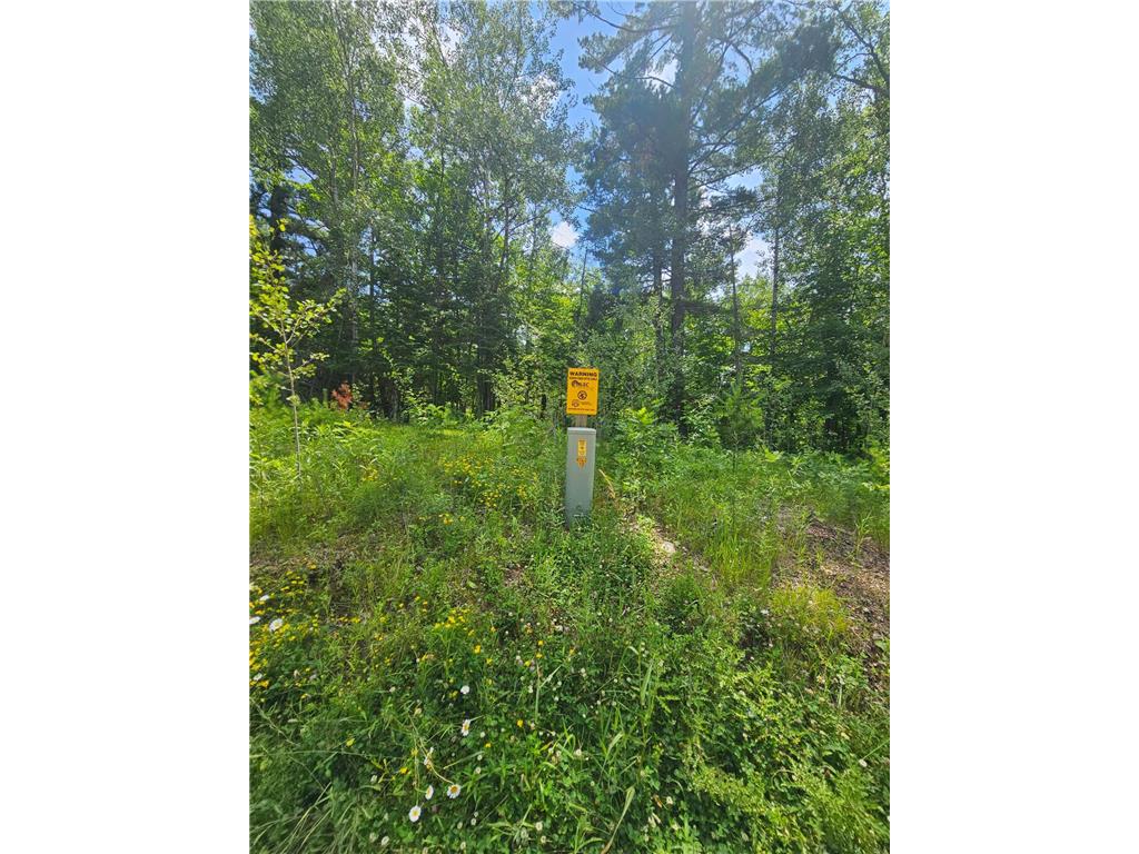 TBD Cedar Shores Drive Deerwood Twp MN 56444 7106712 image6