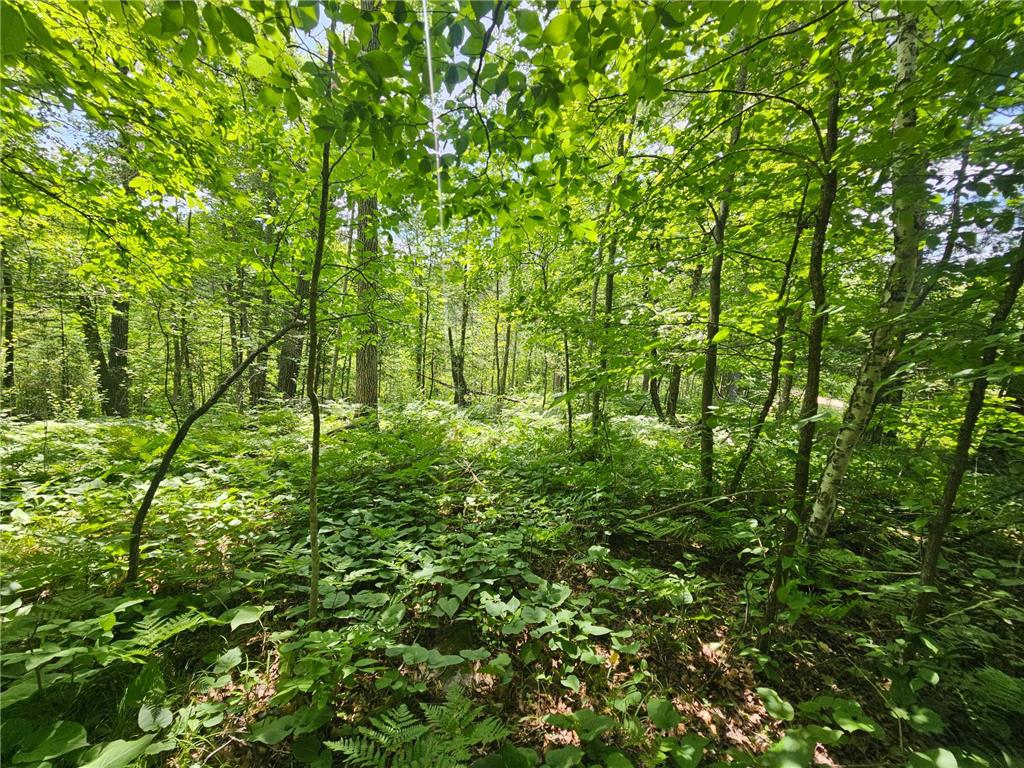 TBD Cedar Shores Drive Deerwood Twp MN 56444 7106712 image9