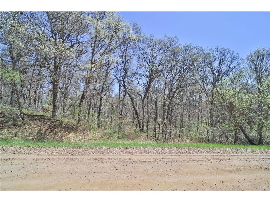 TBD Cedar St Breezy Point MN 56472 6642032 image1