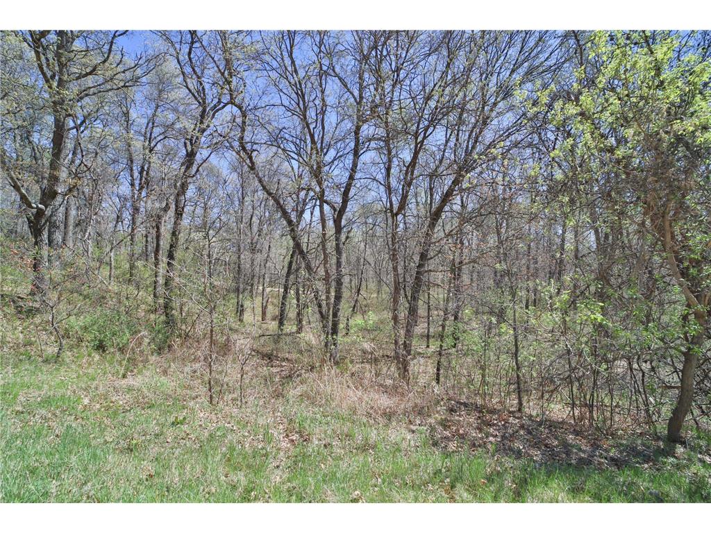 TBD Cedar St Breezy Point MN 56472 6642032 image3