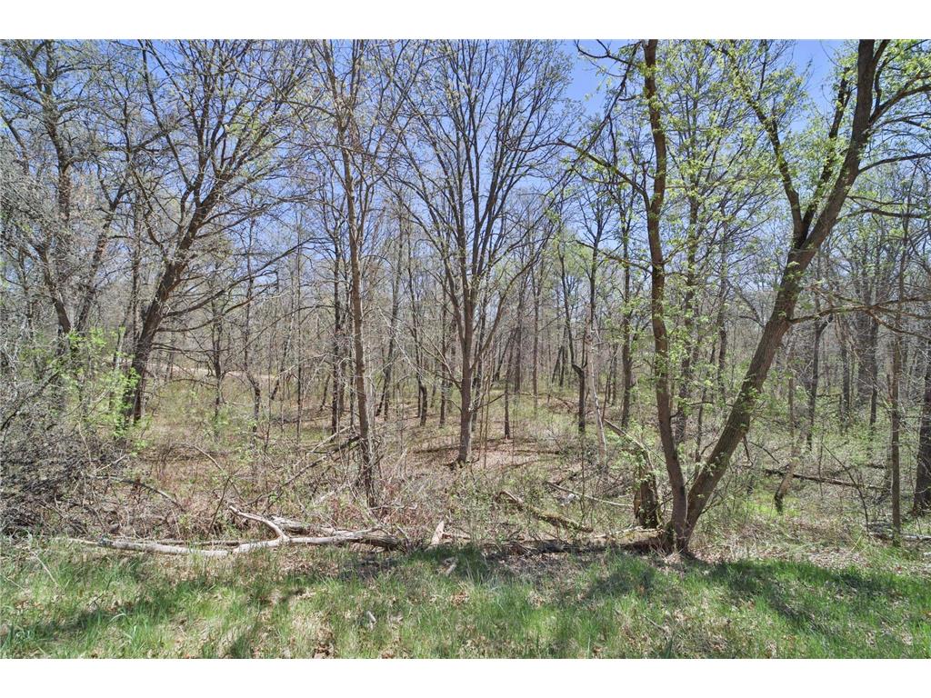 TBD Cedar St Breezy Point MN 56472 6642032 image4