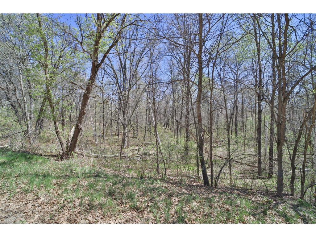 TBD Cedar St Breezy Point MN 56472 6642032 image5