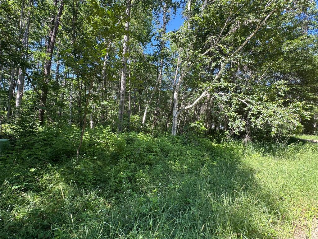 TBD Cedar Street Breezy Point MN 56472 6741597 image1