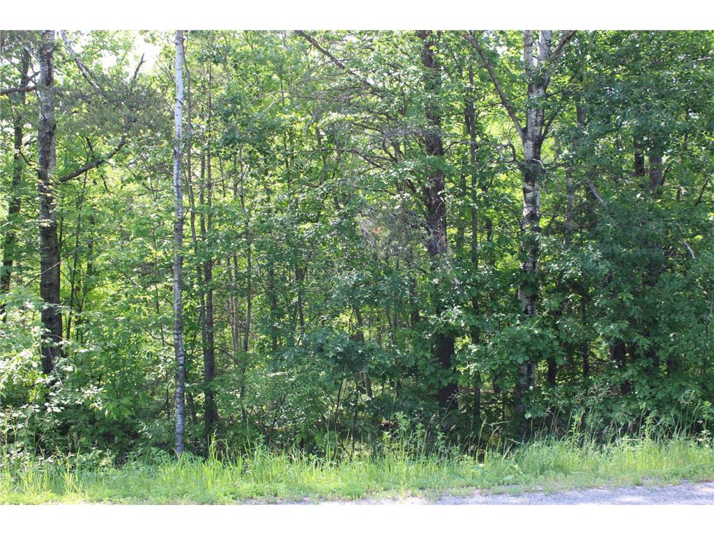 TBD Centerline Road NW Solway MN 56678 6738824 image1
