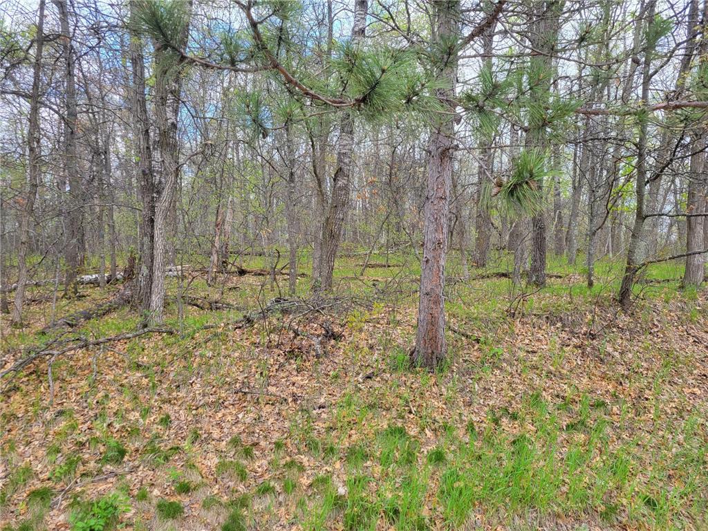 TBD Cherokee Trail Breezy Point MN 56472 6199547 image1