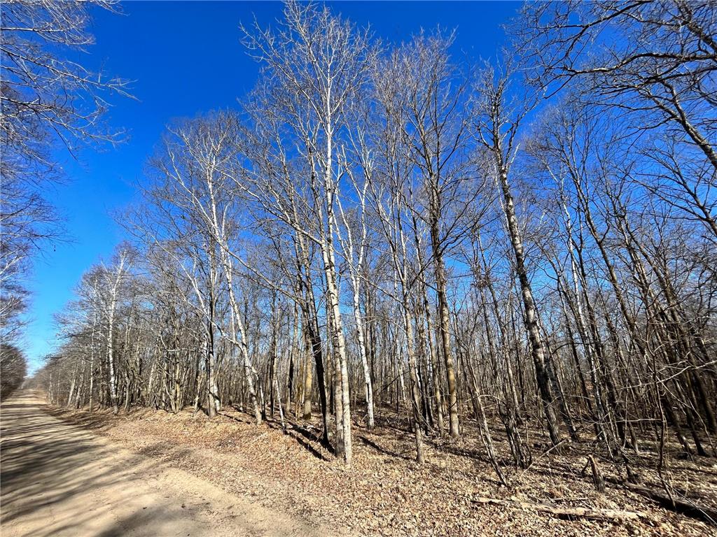 TBD Cherry Lake Road Maple Grove Twp MN 56569 6505516 image1