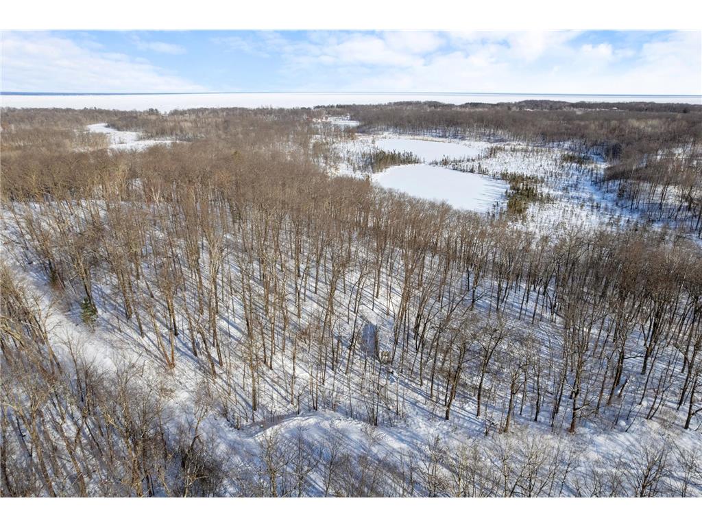 TBD Chestnut Ln Roosevelt Twp MN 56450 7010244 image1