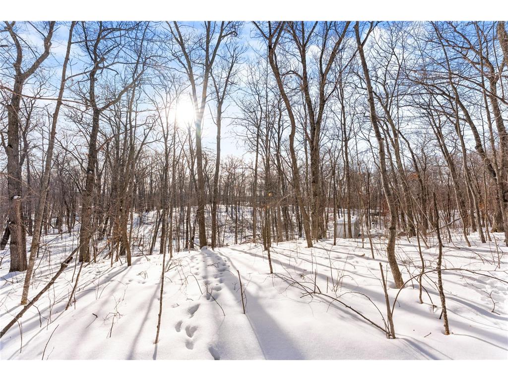 TBD Chestnut Ln Roosevelt Twp MN 56450 7010244 image11