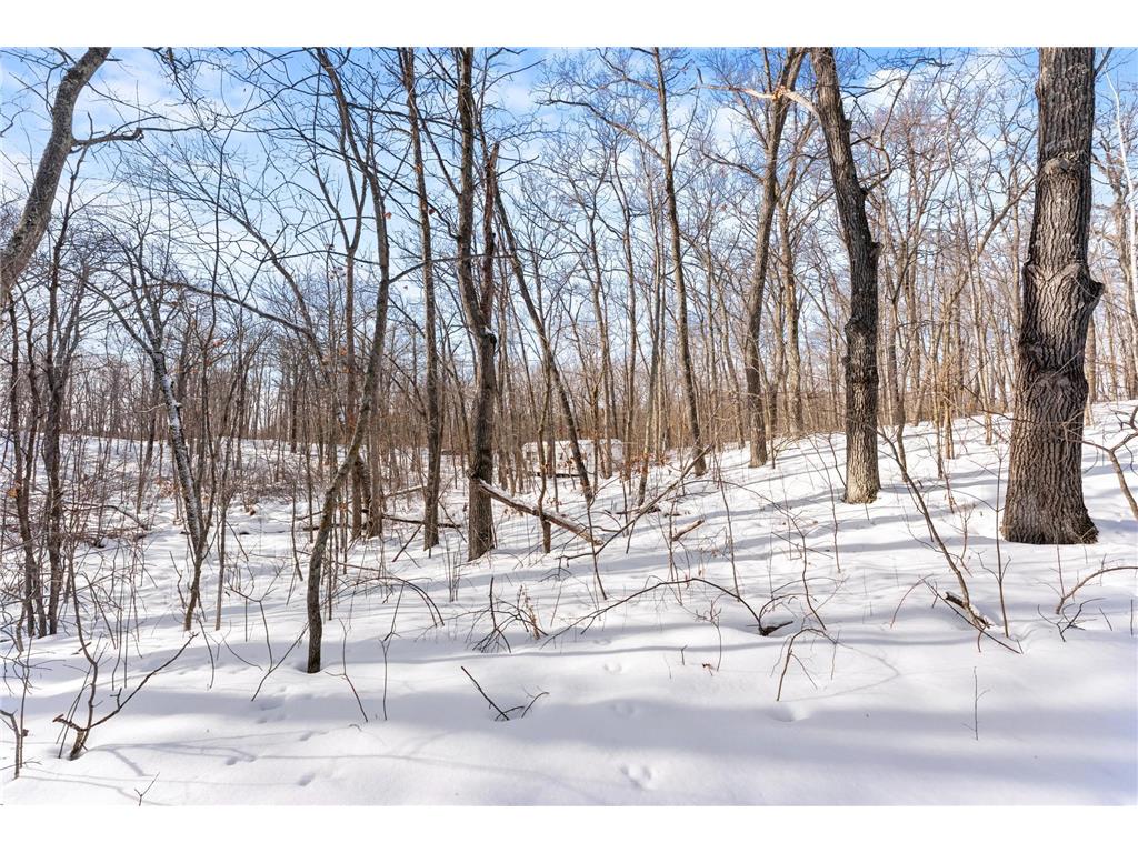 TBD Chestnut Ln Roosevelt Twp MN 56450 7010244 image12