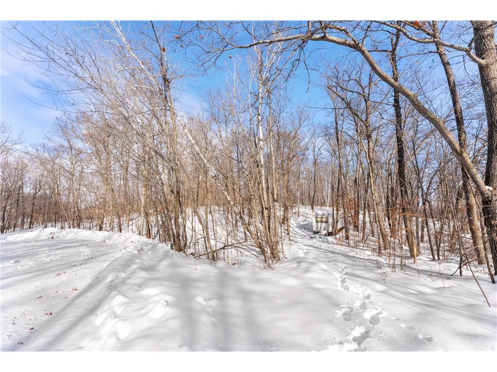 TBD Chestnut Ln Roosevelt Twp MN 56450 7010244 image13