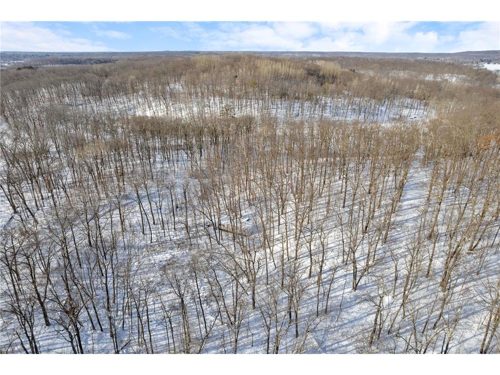 TBD Chestnut Ln Roosevelt Twp MN 56450 7010244 image3