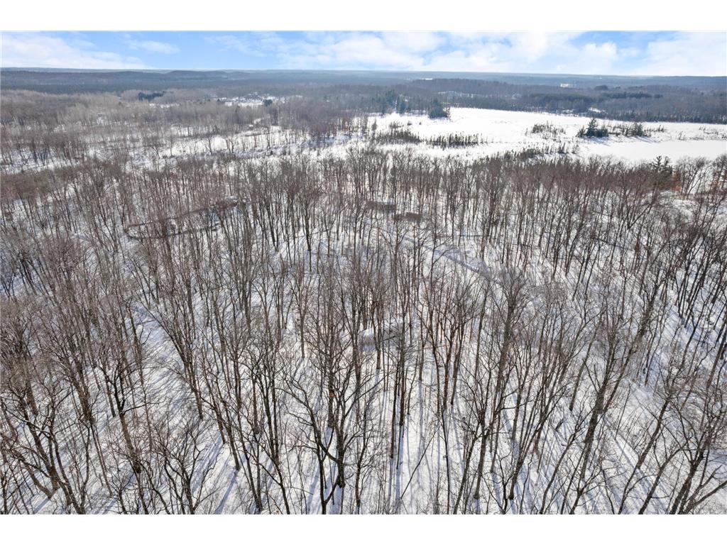TBD Chestnut Ln Roosevelt Twp MN 56450 7010244 image5
