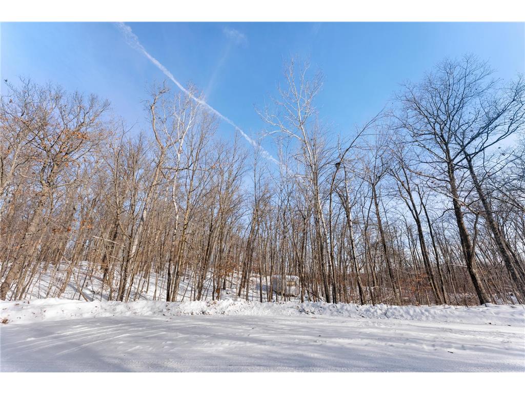 TBD Chestnut Ln Roosevelt Twp MN 56450 7010244 image7