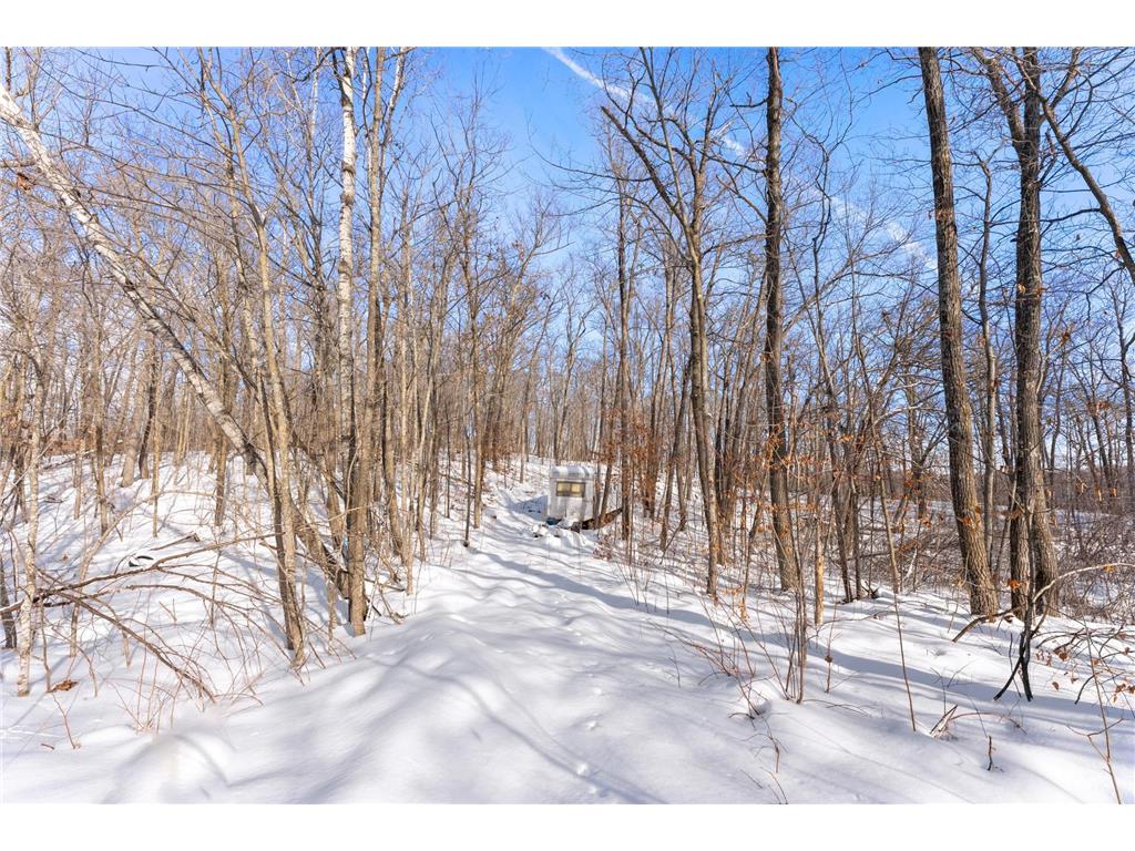 TBD Chestnut Ln Roosevelt Twp MN 56450 7010244 image8