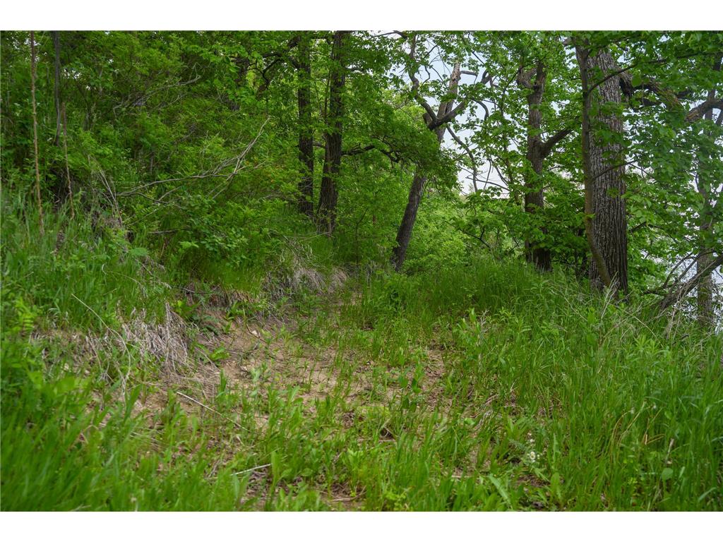 TBD Chippewa Heights NW Brandon MN 56315 - Chippewa 7090820 image13
