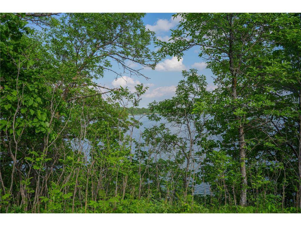 TBD Chippewa Heights NW Brandon MN 56315 - Chippewa 7090820 image9