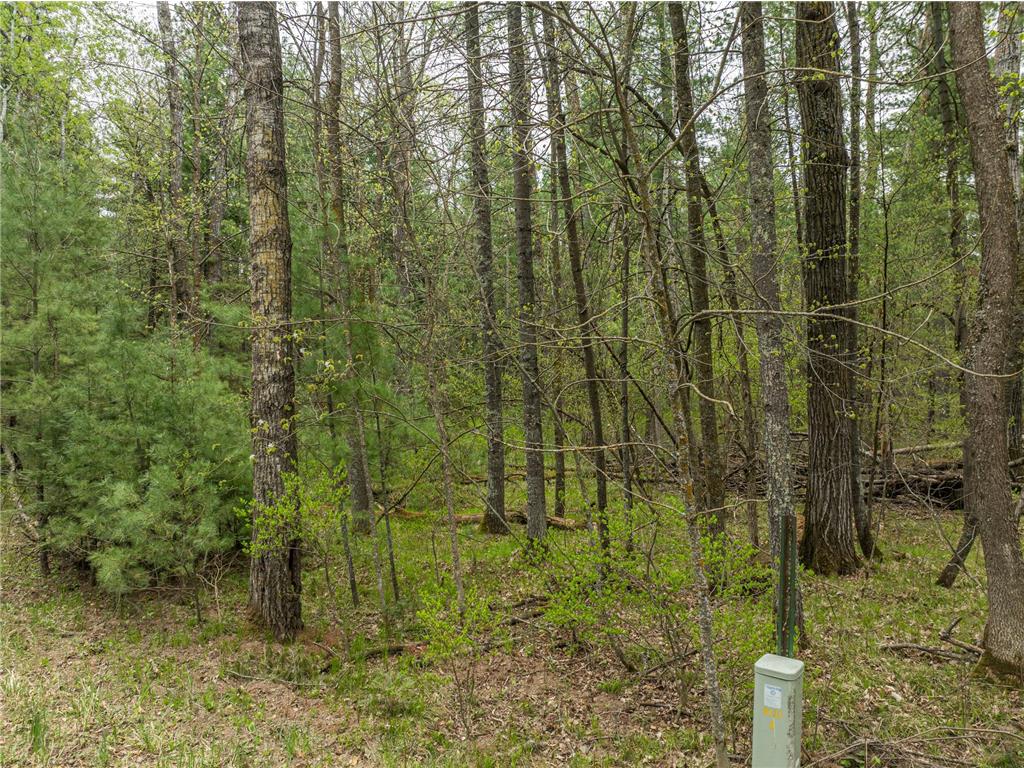 TBD Chokecherry Drive Crow Wing Lake Twp MN 56467 7076059 image4